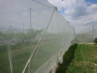 連日降雨加上盧碧颱風影響 農民憂心農損加劇