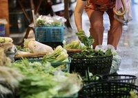 豪大雨農損達1.5億元 農委會留意蔬果價格波動