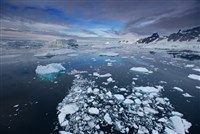 研究：自2015年全球暖化速度明顯加快