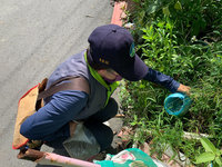 台南雨後防登革熱 清出42公噸垃圾逾5千積水容器