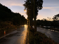 台16線邊坡崩塌一度斷交通 台鐵集集線區間停駛