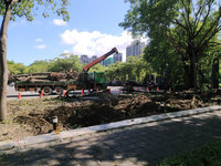 護樹團體批高市粗暴移樹 捷運局：均照規定