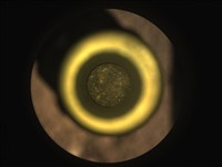 毅力號取得第一塊火星岩石樣本 NASA：重大成就