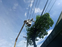 颱風璨樹逼近  台電台中區處展開預防作業