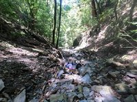 登山客白姑大山失蹤 「跑山獸」Petr協尋深谷發現遺體