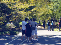 武陵農場出現久違人潮  續推杭菊採摘體驗