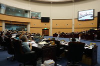 花蓮新設畜牧場 距離住家周界300公尺