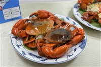老饕的最愛  水試所成功培育全人工養殖紅蟳