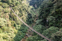 南投竹山天梯7日重新開幕 林明溱再提設地面纜車