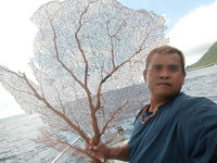 蘭嶼漁民意外釣到紅珊瑚 放回大海無觸法問題[影]