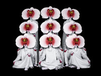 台日共創歌仔戲「阿婆蘭」 24日開放預約索票