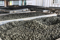 台南推鐵粉包覆稻種  取代農藥防鳥害