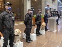 台北跨年晚會維安 出動800警力、3警犬