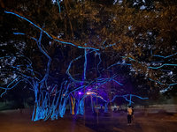 台灣燈會新作品「生命線」 與樹結合彷彿阿凡達場景