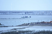 掌握F-16V戰機墜海位置  軍方將抽砂挖泥打撈