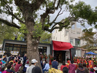 林務局富里站閒置30多年  變身馥茶堂融里山精神