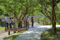 新年走春森林浴  屏南墾丁、雙流遊樂區不打烊