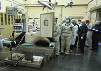 大貓熊團團流鼻血順勢全身健檢 染鼻炎無大礙