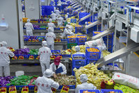 中國商務部：外貿穩增長的困難和壓力前所未有