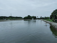 屏東35%養殖在地下水二級管制區  縣府輔導合法