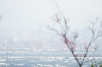 中部以北濃霧特報 彰化能見度不足200公尺