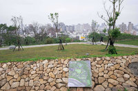 竹市鼓勵自然葬 2023年底前樹葬園區免收規費