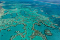 氣候變遷與聖嬰現象影響 澳洲大堡礁可能再陷白化危機