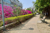 台南推水岸景觀改造  將添兩處綠地廊道