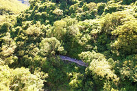 再現忘憂系美景  雙流瀑布15日重新開放