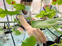 中市國中小學生化身智慧青農 體會農民辛勞