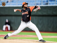 獅隊新洋投克維斯初先發吞敗 餅總點出問題