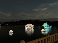 金沙鎮榮湖水上裝置藝術 民眾搶拍直呼療癒