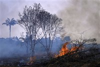 巴西亞馬遜雨林8月火災逾3萬起 12年來同期最糟
