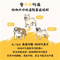 台灣狗狗節 名人串聯籲正視品種犬健康風險