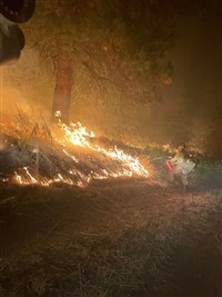 俄勒岡州野火失控 燒掉華府兩倍大土地
