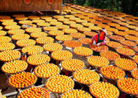 新北客家文化攝影展  貼近社區巷弄25日板橋展出