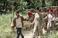 安心亞「牛車來去」飆汗鋤田  詮釋農村堅毅女性