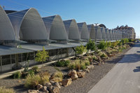 土耳其台灣中心結合科技及人道 推公益NFT