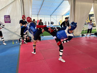 邱義睿跆拳世錦賽8強惜敗 與獎牌擦身而過