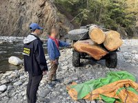 大安溪河床驅車追逐  山老鼠運贓木遭逮