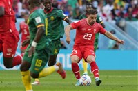 世足賽瑞士後防幾乎完美 球評：喀麥隆差臨門一腳