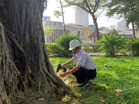 高雄德北公園老榕樹染絕症褐根病 樹木醫師妙手回春