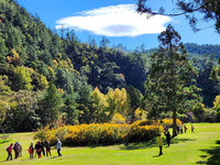 飛碟雲現武陵農場上空  萬壽菊花海相輝映
