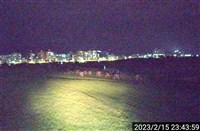 大漢溪野放水牛衝撞露營區鐵門 新北研擬圍捕