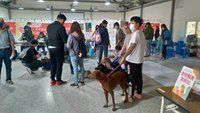 高市偏鄉巡迴犬貓絕育 增設醫療服務站免費諮詢
