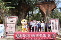 苗栗鐵道自行車迎200萬人次 抽日本旅遊大獎