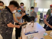 高市動保處攜手獸醫師 提升動物收容所醫療品質