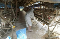 蛋雞場嚴防禽流感 台南逐場分送消毒物資