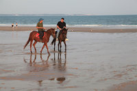 王浩一劉克襄化身台版花漾爺爺 浩克慢遊再出發