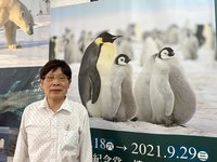 醫師踏遍7大洲拍攝18種企鵝萌樣 耗時15年完成人生幸福清單